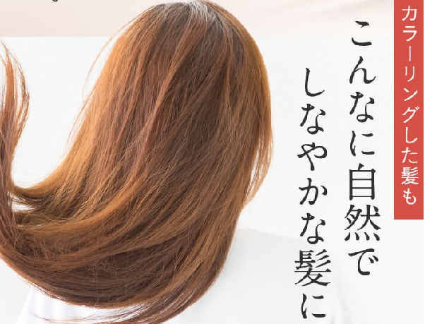ビーエストシャンプー白髪
