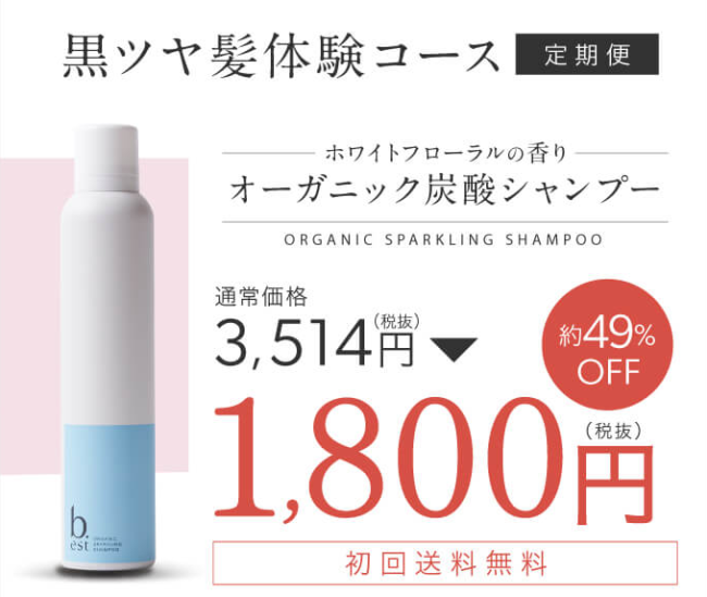 ビーエストシャンプー価格