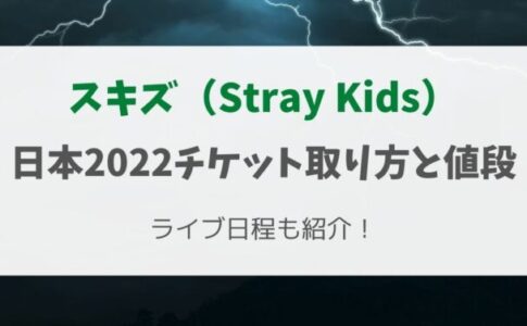 StrayKidsライブ日本2022チケット取り方と値段