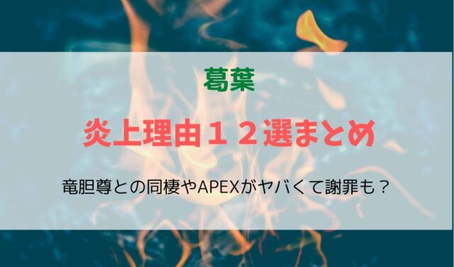 ジェルの家族構成や顔画像